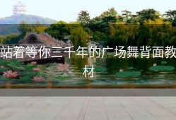 站着等你三千年的广场舞背面教材