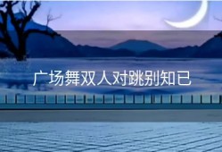 广场舞双人对跳别知已