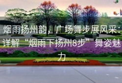 烟雨扬州韵，广场舞步展风采：详解“烟雨下扬州8步”舞姿魅力