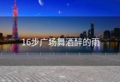 16步广场舞酒醉的雨