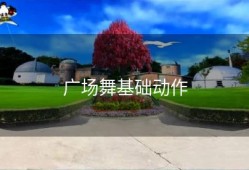 广场舞基础动作