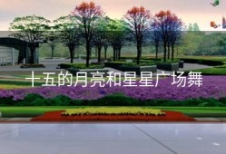 十五的月亮和星星广场舞