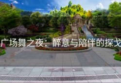 广场舞之夜：醉意与陪伴的探戈