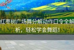 红枣树广场舞分解动作口令全解析，轻松学会舞蹈！