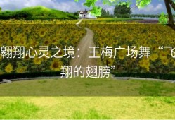 翱翔心灵之境：王梅广场舞“飞翔的翅膀”