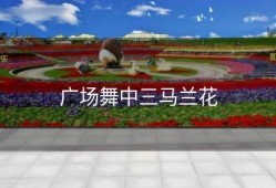 广场舞中三马兰花