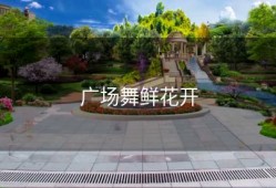 广场舞鲜花开