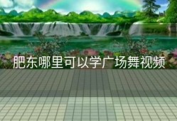 肥东哪里可以学广场舞视频