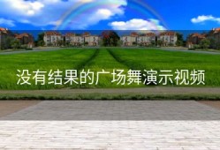 没有结果的广场舞演示视频