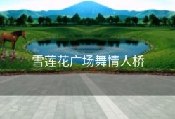 雪莲花广场舞情人桥