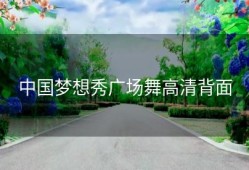 中国梦想秀广场舞高清背面