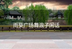 雨葵广场舞浪子闲话