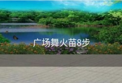 广场舞火苗8步