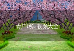青广场舞视频大全