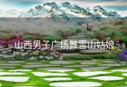 山西男子广场舞雪山姑娘