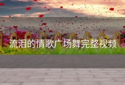 流泪的情歌广场舞完整视频