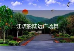 江疏影陆远广场舞