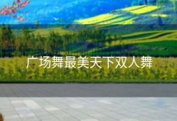 广场舞最美天下双人舞