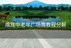 维族中老年广场舞教程分解