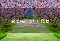 盼情缘dj青儿广场舞