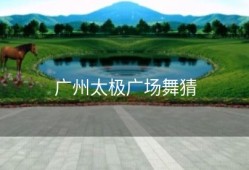 广州太极广场舞猜