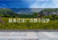 最美花球广场舞中国梦