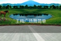 王梅广场舞简单