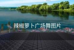 辣椒萝卜广场舞图片