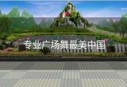 专业广场舞最美中国