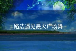 路边遇见最火广场舞