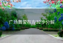 广场舞爱在左32步分解