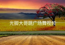 光脚大哥跳广场舞视频