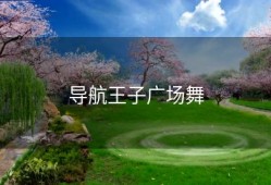 导航王子广场舞