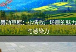 舞动草原：小情歌广场舞的魅力与感染力