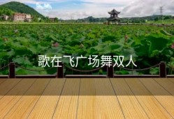 歌在飞广场舞双人