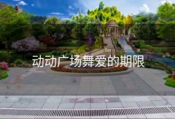 动动广场舞爱的期限