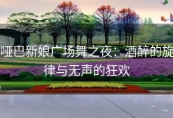 哑巴新娘广场舞之夜：酒醉的旋律与无声的狂欢