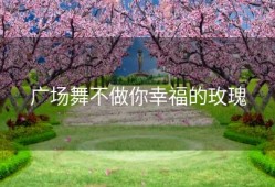 广场舞不做你幸福的玫瑰