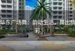 华东广场舞：韵动生活，舞出精彩