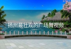 扬州最壮观的广场舞视频