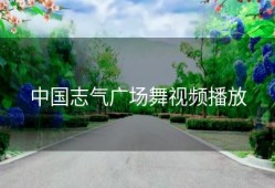 中国志气广场舞视频播放