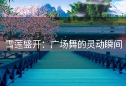 雪莲盛开：广场舞的灵动瞬间