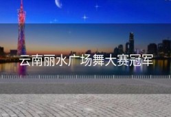 云南丽水广场舞大赛冠军