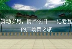 舞动岁月，情怀依旧——记老瓦的广场舞之旅