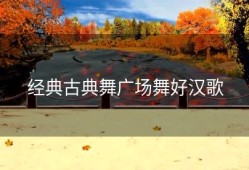 经典古典舞广场舞好汉歌