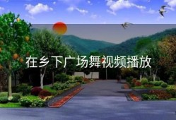 在乡下广场舞视频播放