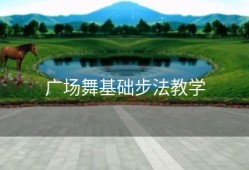 广场舞基础步法教学