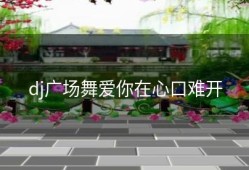 dj广场舞爱你在心口难开
