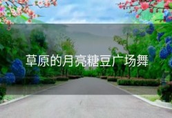 草原的月亮糖豆广场舞