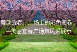 舞动宜春，广场上的彩色画卷——美丽宜春广场舞风采展示
